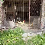 La Briccola Feriegård Diano dʼAlba