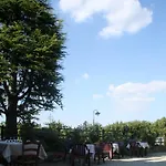 La Briccola * Diano dʼAlba