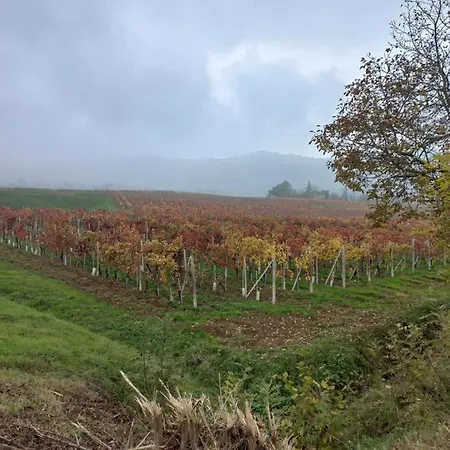 Lantgård La Briccola Diano dʼAlba