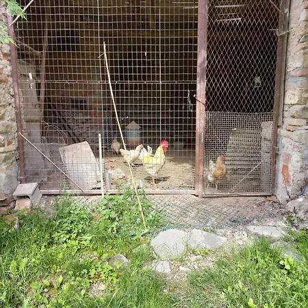 La Briccola Lantgård Diano dʼAlba