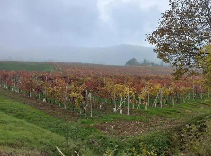 Farma La Briccola Diano dʼAlba